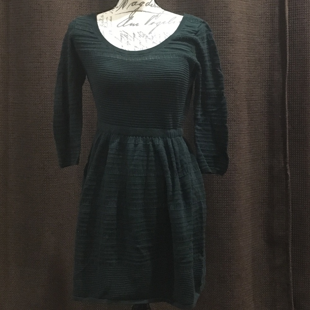 American Eagle Outfitters Green sweater dress
